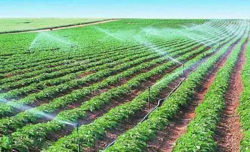 肏屄网址农田高 效节水灌溉